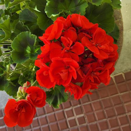 Corte Martinola Bed&Breakfast In Franciacorta Ome 外观 照片