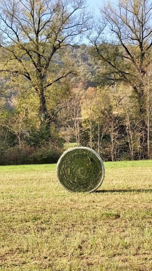 Corte Martinola Bed&Breakfast In Franciacorta Ome 外观 照片