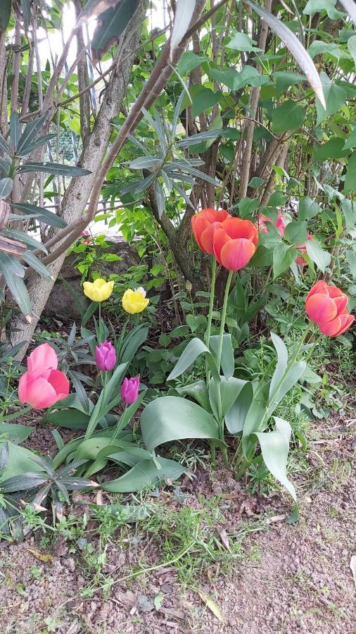 Corte Martinola Bed&Breakfast In Franciacorta Ome 外观 照片