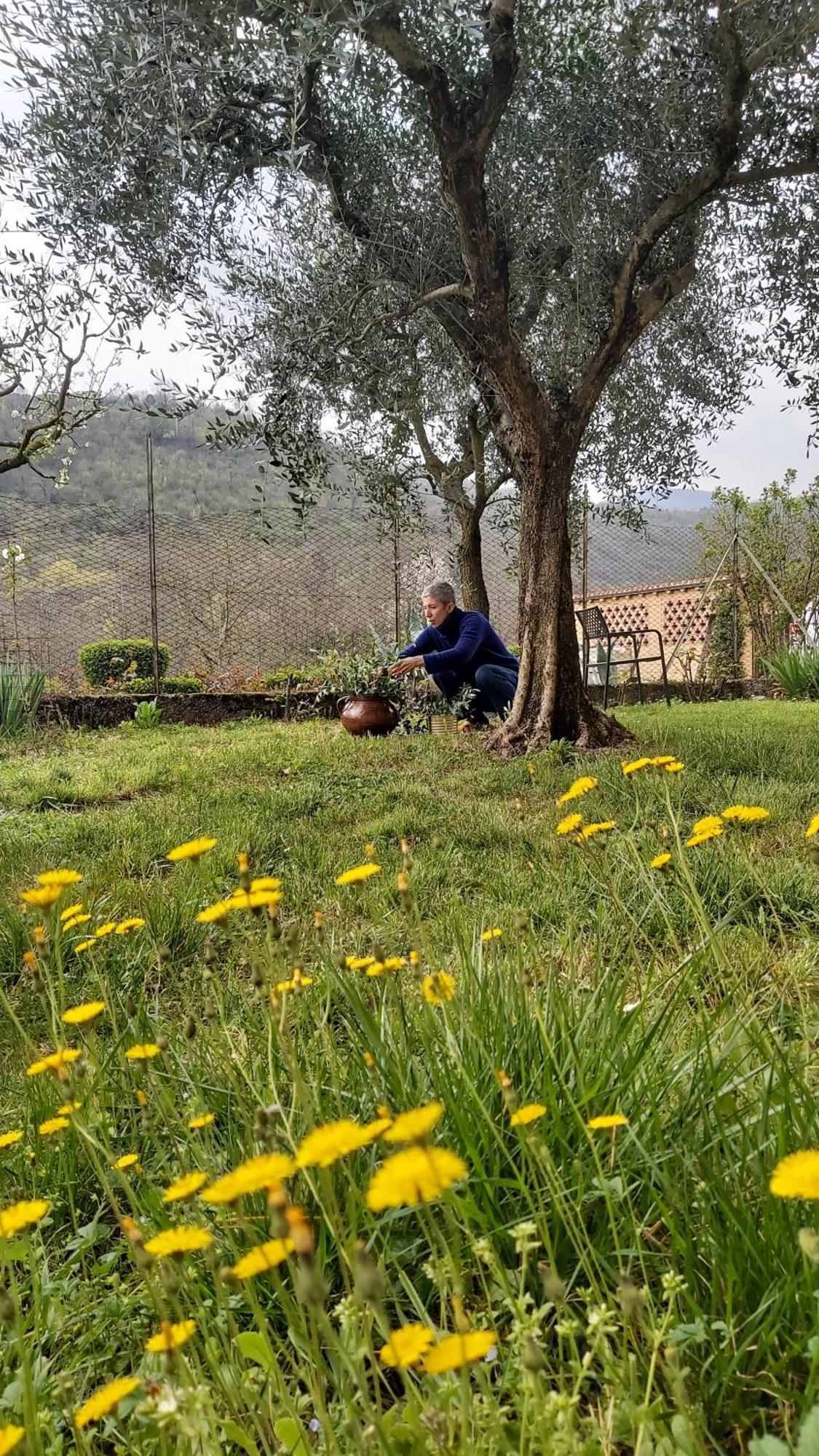 Corte Martinola Bed&Breakfast In Franciacorta Ome 外观 照片